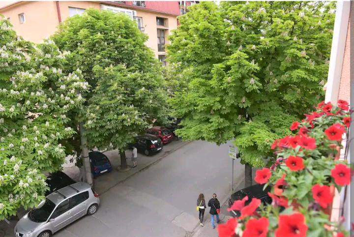 Milica Apartments Skopje Esterno foto