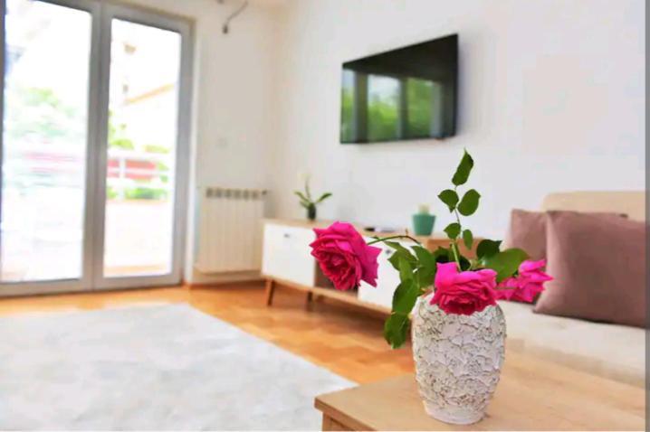 Milica Apartments Skopje Esterno foto